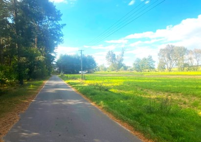 działka na sprzedaż - Wartkowice, Grabiszew